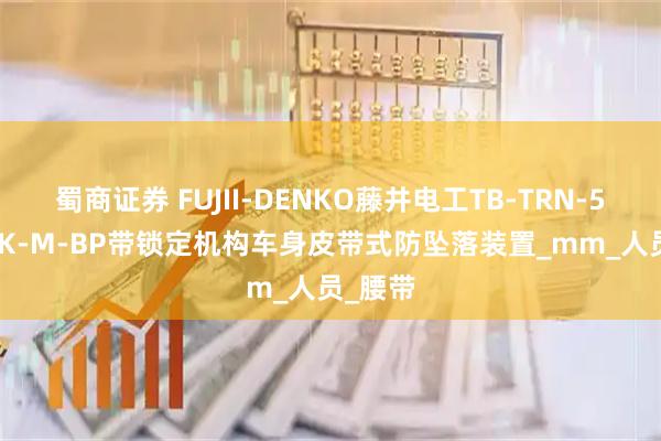 蜀商证券 FUJII-DENKO藤井电工TB-TRN-599-BLK-M-BP带锁定机构车身皮带式防坠落装置_mm_人员_腰带