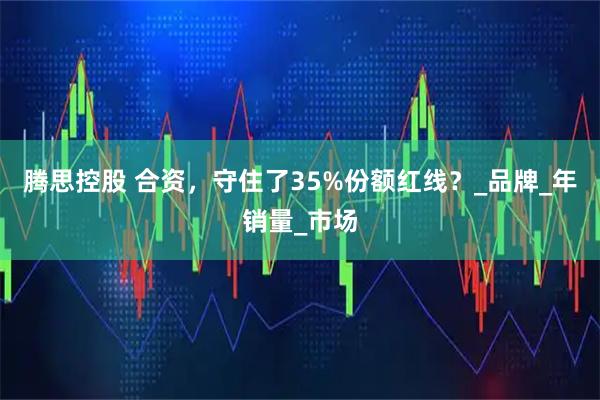 腾思控股 合资，守住了35%份额红线？_品牌_年销量_市场