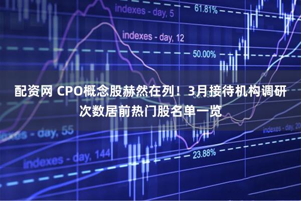 配资网 CPO概念股赫然在列！3月接待机构调研次数居前热门股名单一览