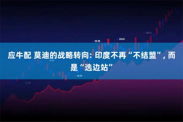 应牛配 莫迪的战略转向: 印度不再“不结盟”, 而是“选边站”